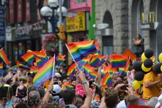 Devostock Gay Gay Pride Pride