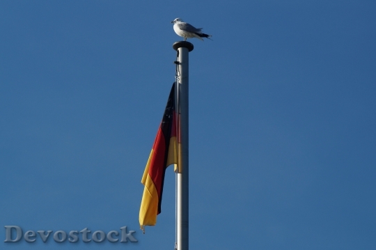 Devostock Germany Flag Wind Flutter