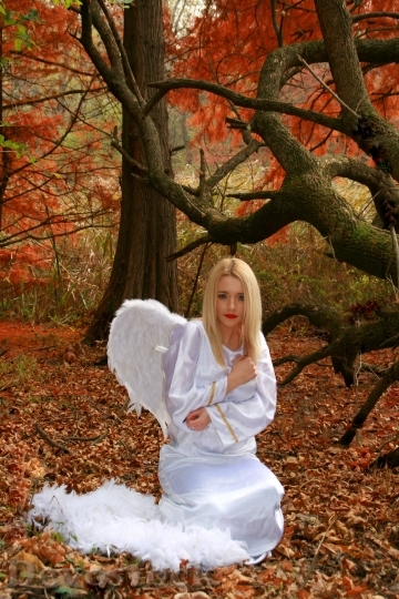 Devostock Girl Angel Autumn Wings 0