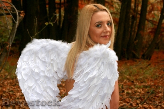 Devostock Girl Angel Autumn Wings 3