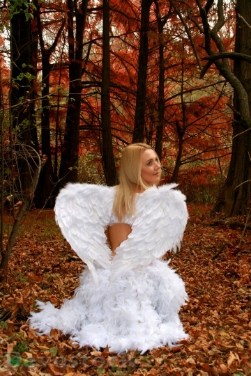 Devostock Girl Angel Autumn Wings 5