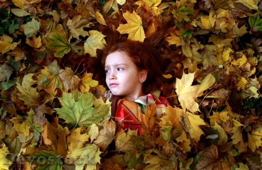 Devostock Girl Leaves Autumn Yellow 2