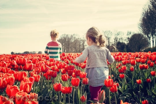 Devostock Girls Children Tulips Netherlands