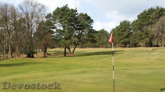 Devostock Golf Course Flag Hole