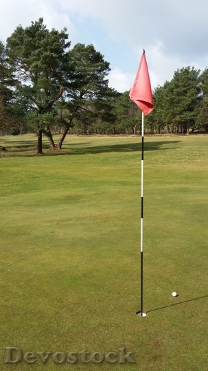 Devostock Golf Flag Ball Green