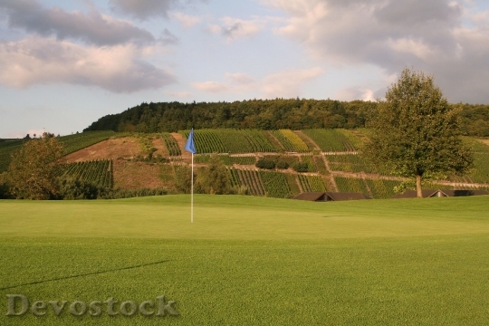 Devostock Golf Rush Green Flag