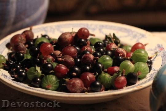 Devostock Gooseberry Plate Berry Fruit