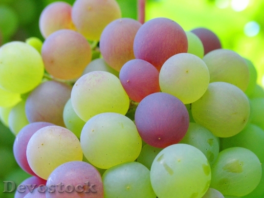 Devostock Grape Cluster Bunch Grapes
