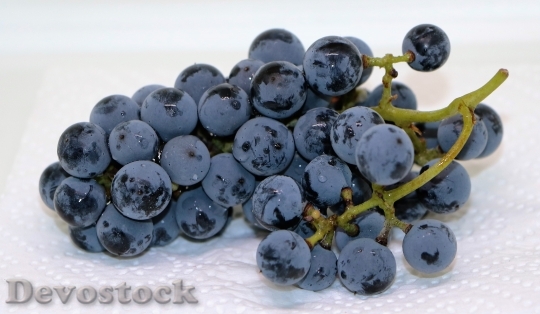 Devostock Grapes Blue Grapes Fruit