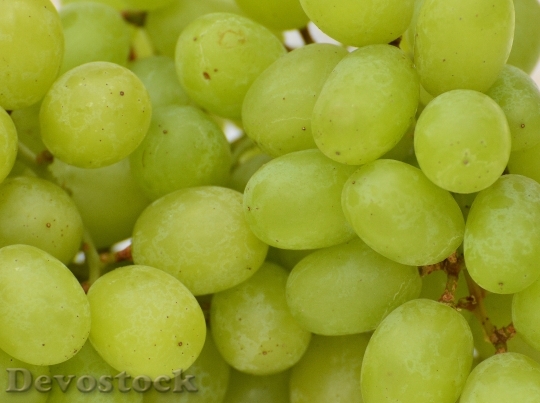 Devostock Grapes Fruits Healthy Fruit 11