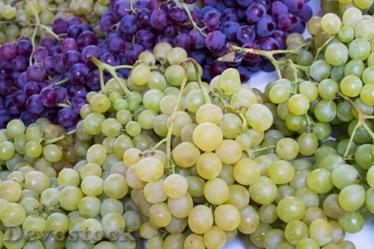 Devostock Grapes Vineyard Fruit Wine 1