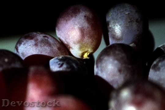Devostock Grapes Violet Fruit Spherical