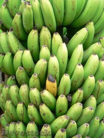 Devostock Green Yellow Bananas