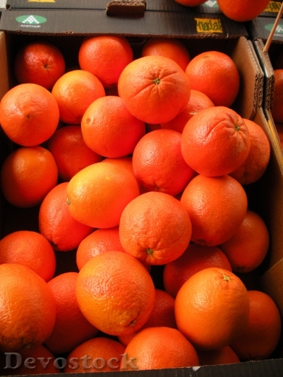 Devostock Greengrocer Fruit Crate Oranges
