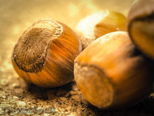 Devostock Hazelnuts Nuts Nutshells Food