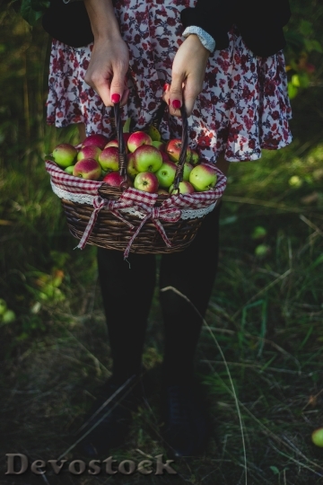 Devostock Healthy Fruits Apples Basket