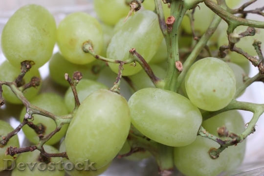 Devostock Healthy Grapes