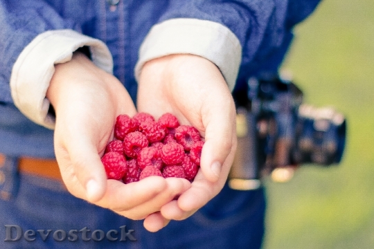 Devostock Healthy Hands Fruits Raspberries