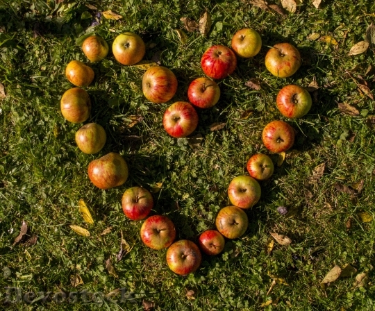 Devostock Heart Apple Rush Fruit
