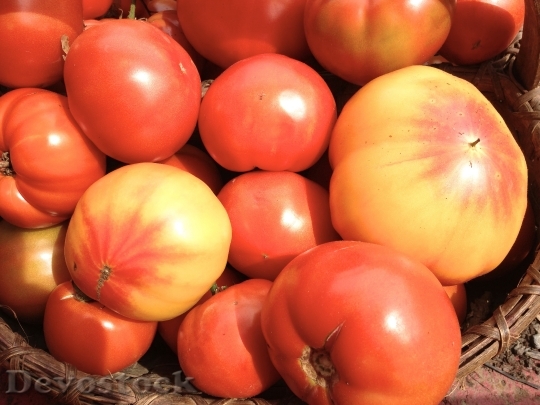 Devostock Heirloom Tomatoes Red Yellow