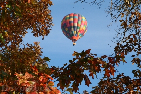 Devostock Hot Air Balloon Autumn