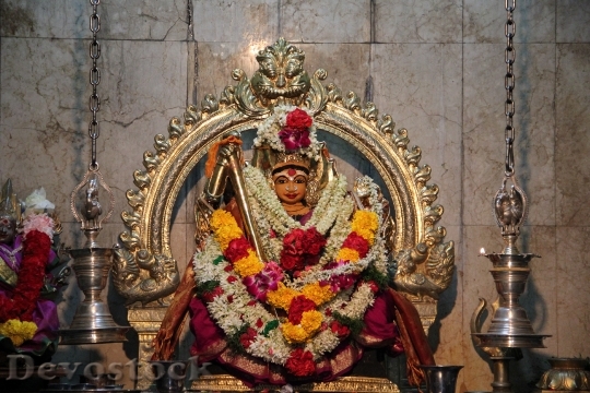 Devostock Indian Divinity Temple Flowers