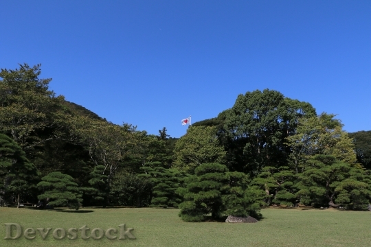 Devostock Japan Flag Woods Landscape