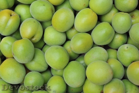 Devostock Japanese Apricot Plum Crop