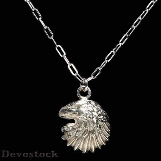 Devostock Jewelry Necklace Eagle Fashion