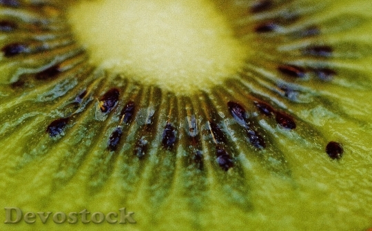 Devostock Kiwi Fruit Healthy Vitamins 4