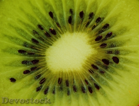 Devostock Kiwi Fruit Healthy Vitamins 8