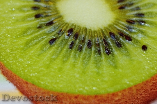 Devostock Kiwi Healthy Fruit Green