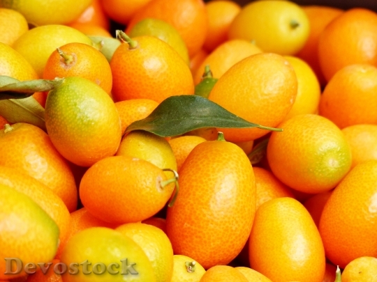 Devostock Kumquats Fruits Fruit Fortunella 0