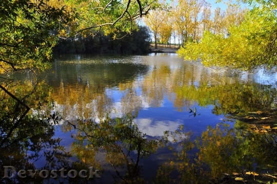Devostock Landscape Scenic Autumn Fall