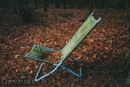 Devostock Lawn Chair Chair Fall