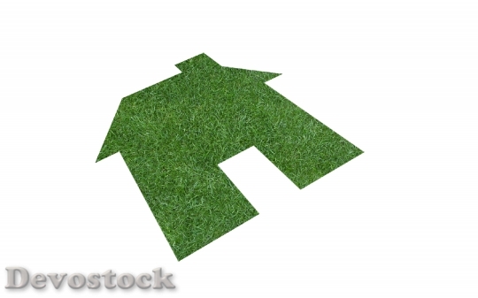 Devostock Lawn In Form House 0