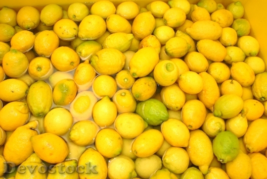 Devostock Lemons Sorrento Italy Limoncello