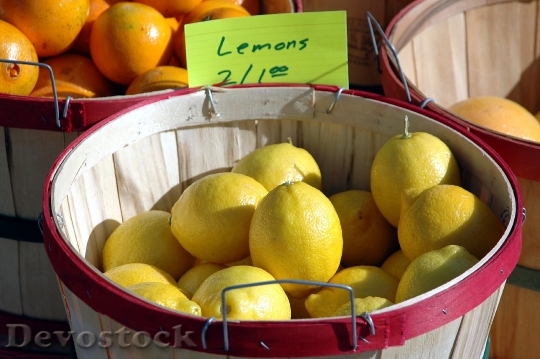 Devostock Lemons Yellow For Sale