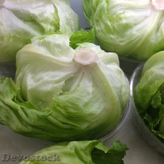 Devostock Lettuce Fresh Green Vegetables