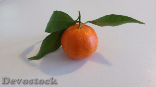 Devostock Mandarin Fruit Healthy 617770