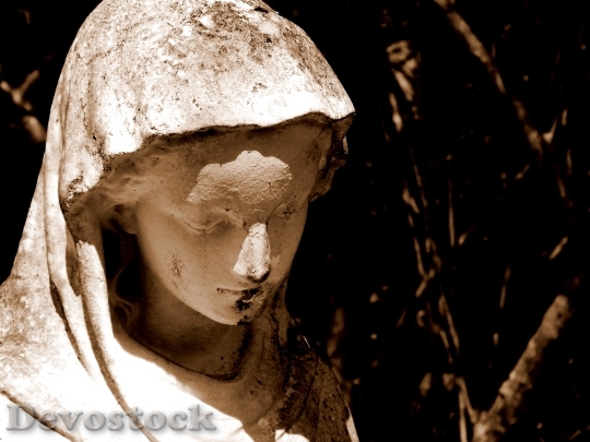 Devostock Mary Statue Garden Sepia