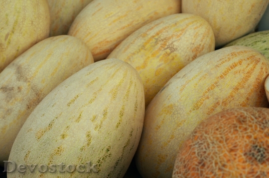 Devostock Melon Market Summer Harvest