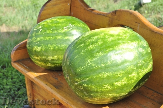Devostock Melon Watermelon Fruit 897446
