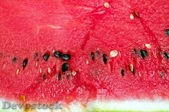 Devostock Melon Watermelon Fruit Red 3