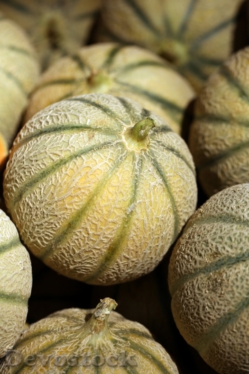 Devostock Melons Quot Charentais Quot