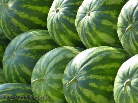 Devostock Melons Water Melons Fruit 1