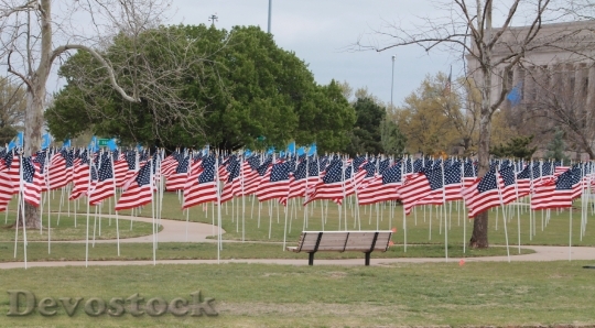Devostock Memorial Flags United States