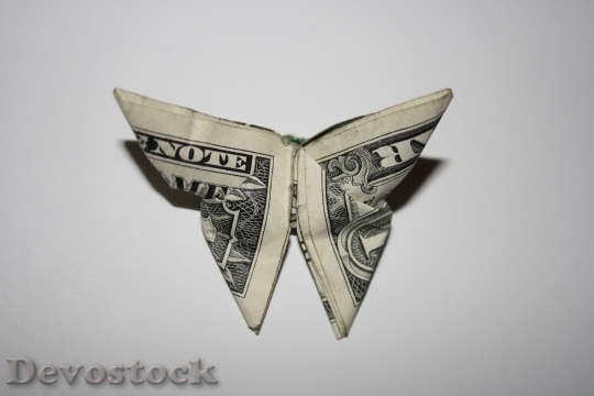 Devostock Money Butterfly Origami Dollar