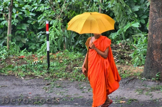 Devostock Monk Sri Lanka Buddha