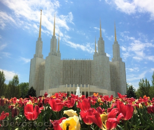 Devostock Mormon Lds Temple Saints